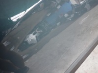 фото thumb №3, Hyundai kona 17- двері перед передні ліва