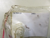 фото thumb №7, Насос abs opel frontera b 6b_ 897263399