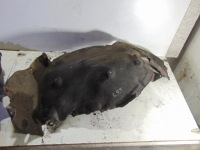 фото thumb №3, Подкрылок левый перед bmw f10 7186727