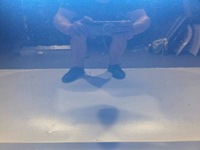 фото thumb №9, Двері праві передні skoda octavia iii 3 5e0