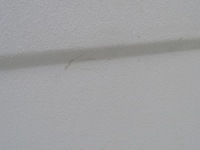 фото thumb №6, Suzuki vitara i 88-97 стеля 3d