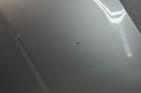 фото thumb №13, Капот крышка двигателя nissan note e11 lift kyo ky0