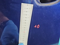 фото thumb №12, Дверь перед левая fiat doblo ii 5d 487