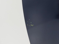 фото thumb №10, Двері лівий перед skoda superb ii 08-13r #