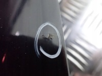 Купити Капот audi a4 s4 b8 8k перед ly9b, фото thumb