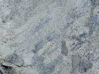 фото thumb №10, Volvo xc60 xc-60 1 i lift 13-17 бампер задня задній