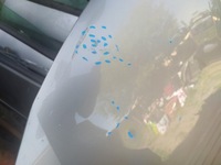 фото thumb №8, Капот skoda rapid 5j 5ja 2012-2019 giełda pń