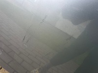 фото thumb №5, Капот opel vectra c kombi z167 leszno