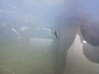 фото thumb №5, Opel vectra c капот решітка радіатора решітка радіатора z147