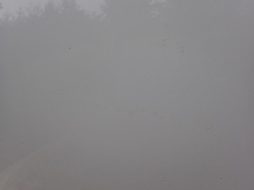 фото thumb №4, Дверь левая передние левый перед renault zoe bfm