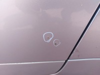 фото thumb №9, Дверь полный левый задняя audi a4 b7 sedan ly7w