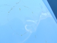 фото thumb №8, Капот крышка двигателя audi q5 8r ly9c