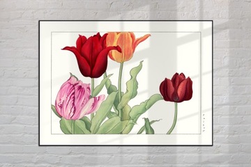 TULIPAN sztuka japońska dekoracja vintage 21x30 (A4)
