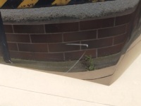 Mercedes c w206 197 капот крышка двигателя a2068800500 Оригинал, фото thumb