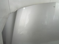 фото thumb №5, J984 капот opel insignia a z176