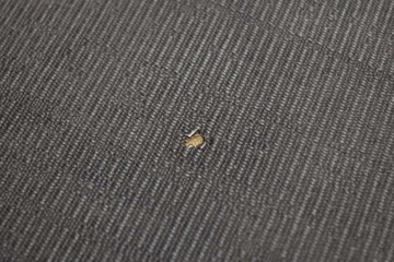 фото thumb №14, Сиденье сиденья комплект обшивки полукожа eu renault laguna 3 iii 5d hb 07-11