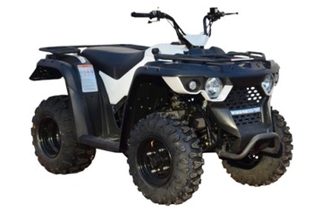 USZCZELKA RURY WYDECHU WYDECHOWEJ TŁUMIKA Quad ATV Linhai M150cc OEM!