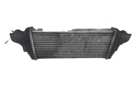 фото thumb №1, Радіатор інтеркулер mercedes ml w251 w164