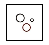 Купити Starline комплект прокладка насос-форсунка, фото thumb