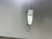 фото thumb №14, Крила bmw 3 e92 e93 06-13r. coupe cabrio лівий передній 354/7 titansliber