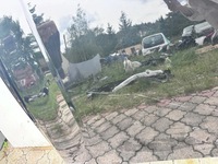 фото thumb №5, Bmw 3 капот крышка двигателя g20