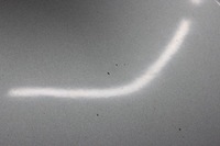 фото thumb №8, Капот крышка двигателя seat toledo iii 2004- ls5v