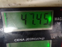 фото thumb №7, Audi a4 b6 1.9 tdi 101km коробка передач коробки передач gfm