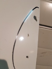 фото thumb №5, Ford transit connect mk2 дверь левая задние