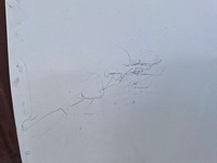 фото thumb №8, Fiat doblo ii 2 maxi двері лівий перед ліві передні