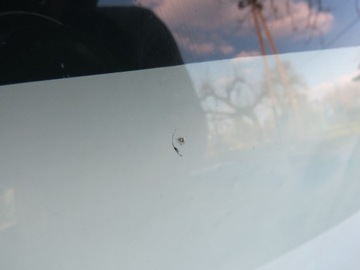 фото thumb №8, Скло лобове перед передня audi a4 b8