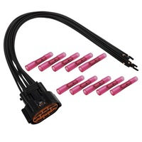 фото thumb №2, Джгут штекер колодка лампи hyundai, kia