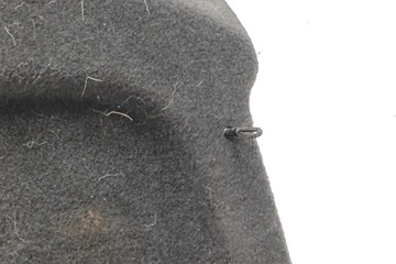 фото thumb №8, Ролета багажника vw 5g6867769f 1.4l 2015