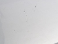 фото thumb №14, Ford transit custom i 12-23 дверь сдвижные левая полный стекло