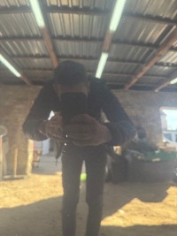 Audi a7 4g8 2010-2017 капот передняя lx5r оригинал. Цена, фото thumb