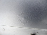 фото thumb №7, Дверь правый перед правое передние seat exeo ls7y