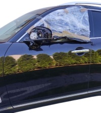 фото thumb №1, Infiniti fx 2 ii 08-12 двері ліва передні лівий перед лак gac