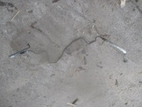 фото thumb №1, Zafira a astra g wąż шланг підсилювача