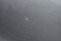 фото thumb №6, Land rover discovery l462 дверь левый задняя задние