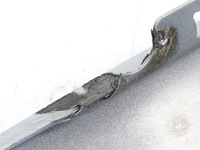 фото thumb №11, Крыло правый перед передний карбон audi rs3 8p 11-