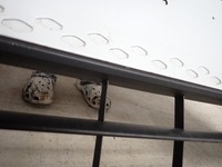 фото thumb №8, Vw id 3 id.3 19-23 бампер перед передній pdc 10a807221