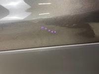 фото thumb №5, Дверь задние левая ford kuga mk2 mk 2 ii