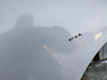 фото thumb №8, Дверь левая задние nissan qashqai i j10 07-10 цвет k54 g