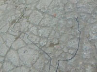 фото thumb №3, Трубки дроти гальмівні berlingo iv rifter combo