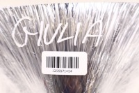 фото thumb №8, Alfa romeo giulia зеркало заднего вида 156107568, 156109498