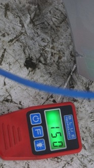 фото thumb №16, Крила правий перед renault megane iii