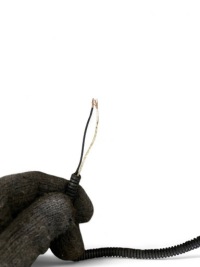 фото thumb №14, Toyota land cruiser j150 2019 джгут трубопровід двигуна