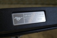 фото thumb №5, Ford mustang vi декоры молдинг решётка обдув