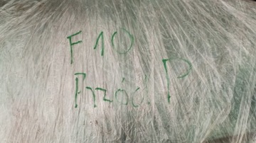 фото thumb №6, Bmw 5 f10 f11 скло бокова правий перед двері 43r-00050 e000292