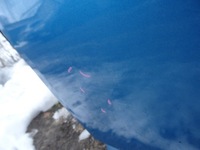 фото thumb №6, Citroen ds3 дверь правое