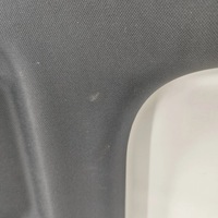 фото thumb №5, Audi e-tron gt 2022 потолок